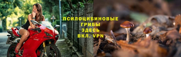 прущие крисы Лабытнанги