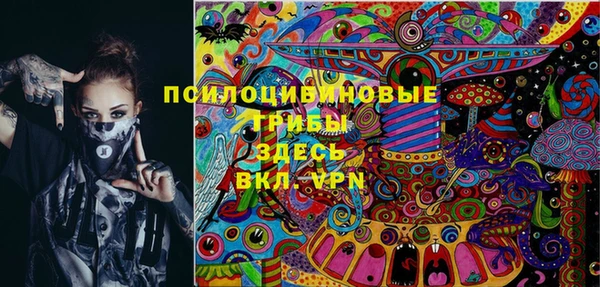 прущие крисы Лабытнанги