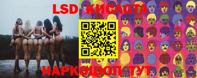 гашик Донецк