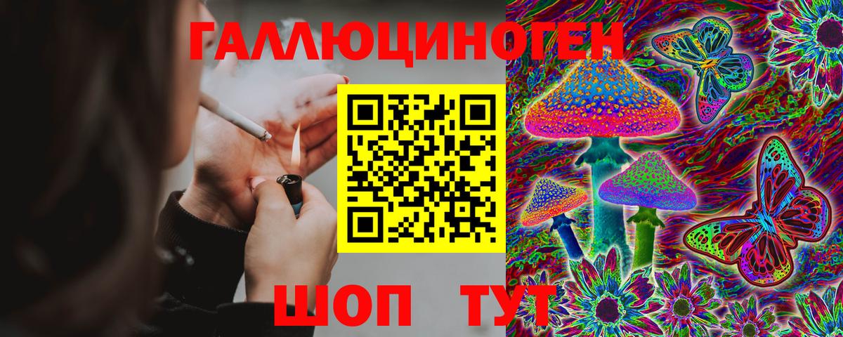 Лосино-Петровский  Псилоцибиновые грибы Psilocybe  где продают   Вход с VPN 