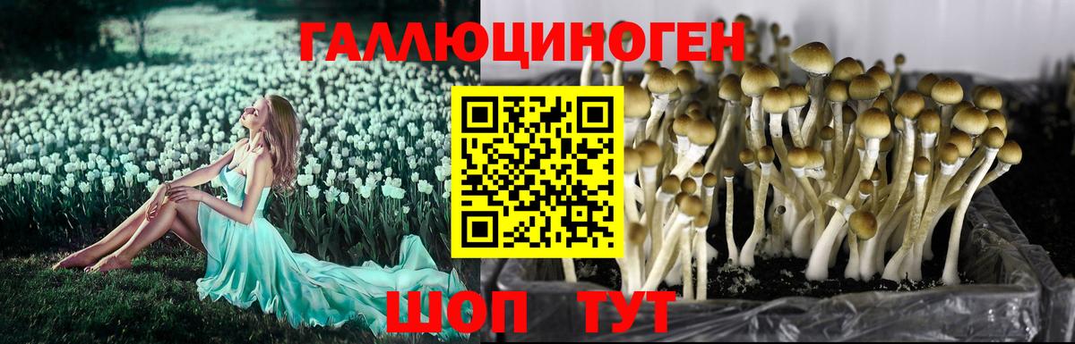 Галлюциногенные грибы MAGIC MUSHROOMS Лосино-Петровский