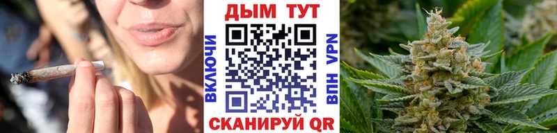 купить наркоту Лосино-Петровский Каннабис семена